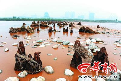 咸阳湖耗资3亿的渭河景观(图)_新闻中心_新浪网