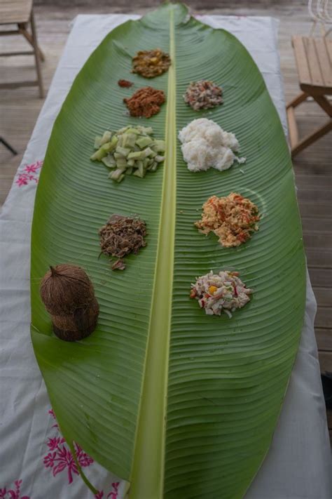 AAA2024 presents Crops and Conversations with Soil of Cultures, 113 ...
