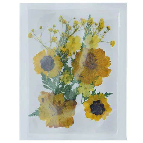 Dried Flowers - Natural Dried Flowers For Resin Art Manufacturer from ...