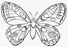 malvorlage schmetterling erwachsene ausmalbilder schmetterling erwachsene 1ausmalbilder malvorlage schmetterling erwachsene ausmalbilder schmetterling erwachsene 1ausmalbilder