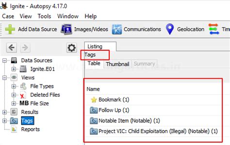 Comprehensive Guide on Autopsy Tool (Windows)