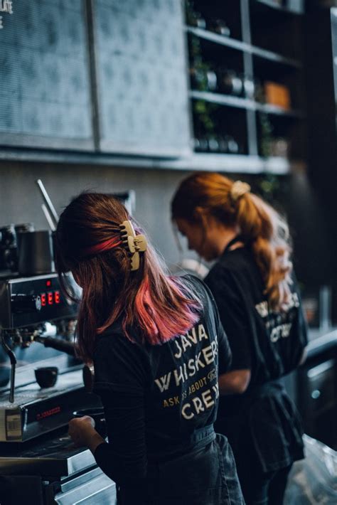 Java Whiskers Logo 的图像结果