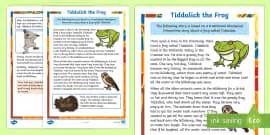 Tiddalick the Frog Storyboard Template (teacher made)