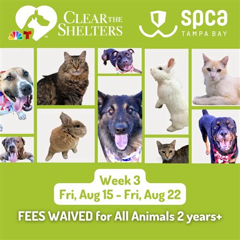 Events for August 2025