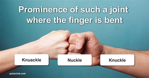 Image result for Audio Bee Test Answers