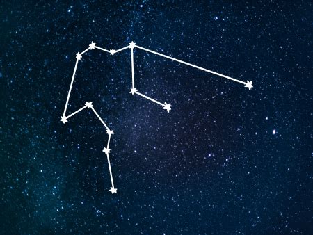 February 8 Zodiac Sign Explained | So Syncd