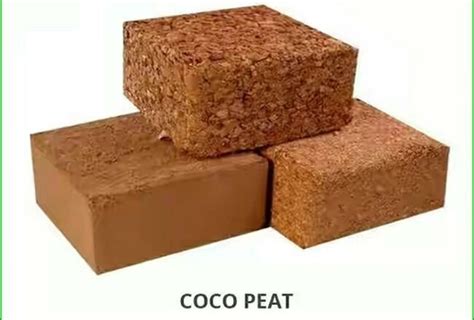 Image result for Coco Peat Sticker High Resolution