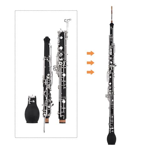 Double Reeded Woodwind Instrument | ppgbbe.intranet.biologia.ufrj.br
