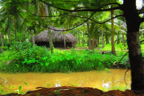 maredumilli-gallery-konaseema