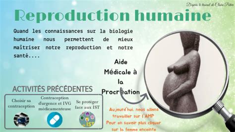 Image result for Reproduction Live Humaine