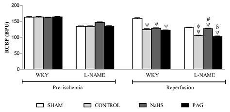 Hydrogen Sulphide Treatment Prevents Renal Ischemia-Reperfusion Injury ...