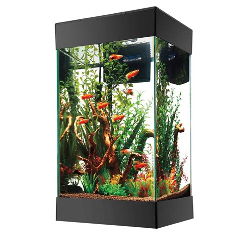 Best 15 Gallon Fish Tank: Aquarium Reviews and Setup Ideas