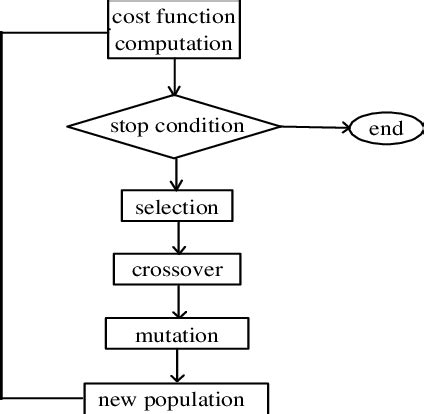 Genetic Algorithm Evolution 的图像结果
