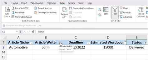 Excel Tutorial Adding a Filter 的图像结果