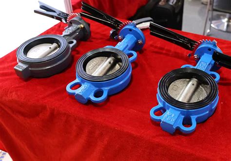 Image result for Wafer Connection Valve Installation