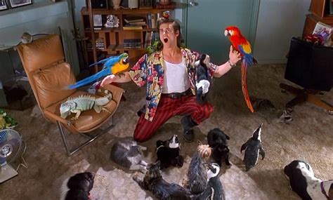 Man Chronicles a Hostile Apartment Take-Over by Pets In a Hilarious ...