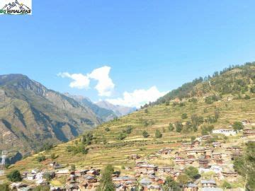 Beautiful 8 Days Dehradun to Dhaula Camp Tour Package | Dhaula camp ...