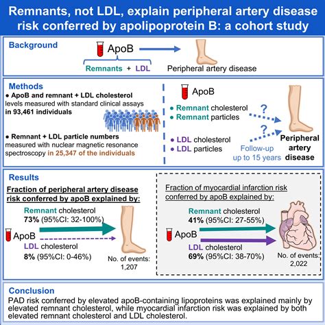 Remnant Cholesterol, Not LDL Cholesterol, Explains Peripheral Artery Disease Risk Conferred by ...