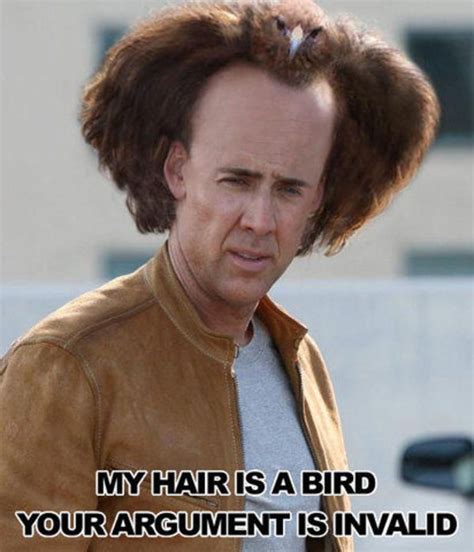 These Nicolas Cage Memes Win the Internet