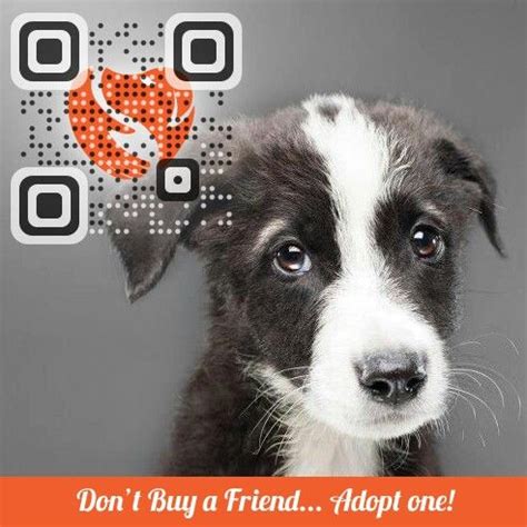 Image result for Stuffed Animals with QR Code Scanner