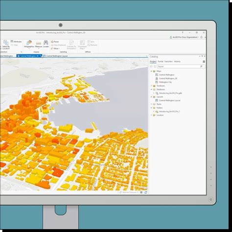 Using ArcGIS 的图像结果