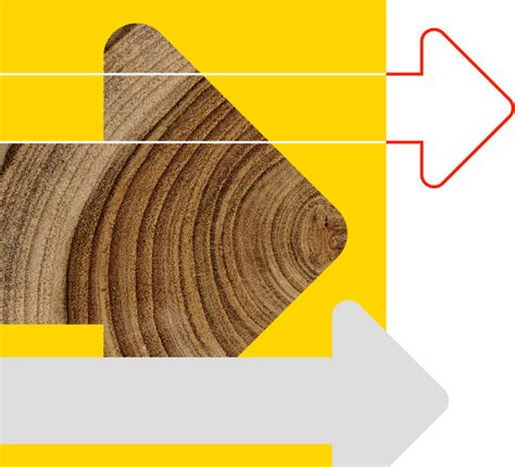 Leadership Coaching | Creating Coaches & Mentors | CFI