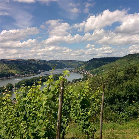 RHEINSTEIG (Updated 2026) All You Need to Know BEFORE You Go (with Photos)