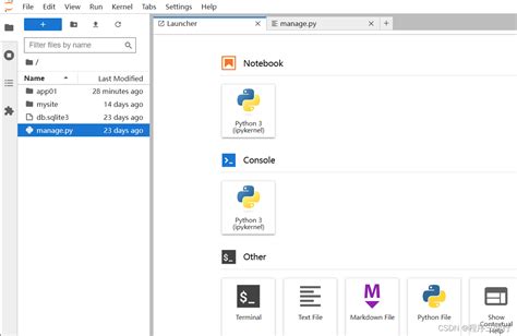 Jupiter Python 的图像结果