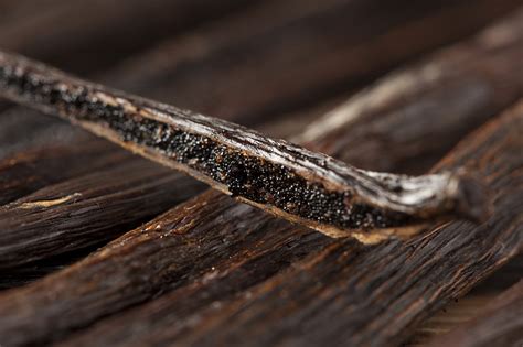 Madagascar Vanilla Beans - Red Stick Spice Company