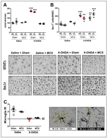Motor Cortex Stimulation Reversed Hypernociception, Increased Serotonin ...