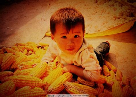 吃玉米棒子的男孩 库存图片. 图片 包括有 白种人, 无罪, 捷克人, 饥饿, 眼睛, 问题的, 藏品, 健康 - 31341935