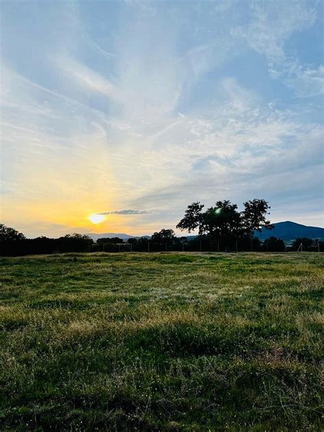 FINCA EL BOSQUE DE RIBERA (Escalona) - Campground Reviews, Photos, Rate ...