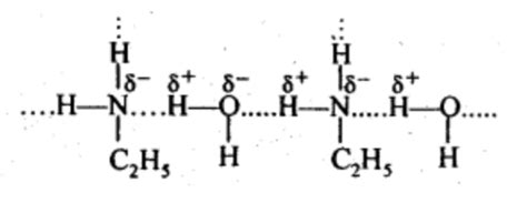 NCERT Solutions Class 12 Chemistry Chapter 9 - Amines