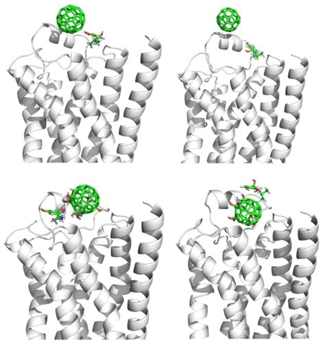 Toxic Effect of Fullerene and Its Derivatives upon the Transmembrane β2 ...