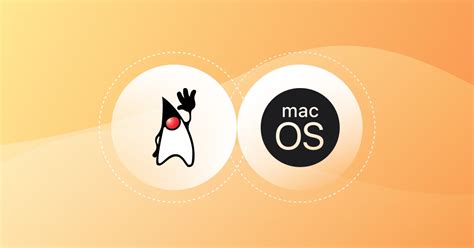 Image result for Install. MacOS On Java Oracle