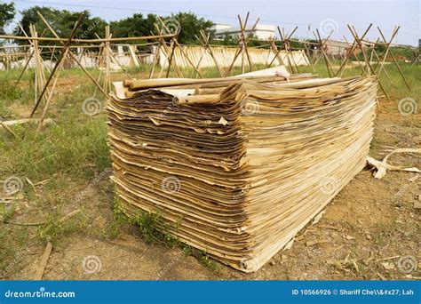 Image result for Chinese Papermaking Process