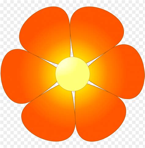 Image result for Create Database Name in MySQL
