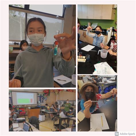 Image result for 3rd Grade Science Project Density