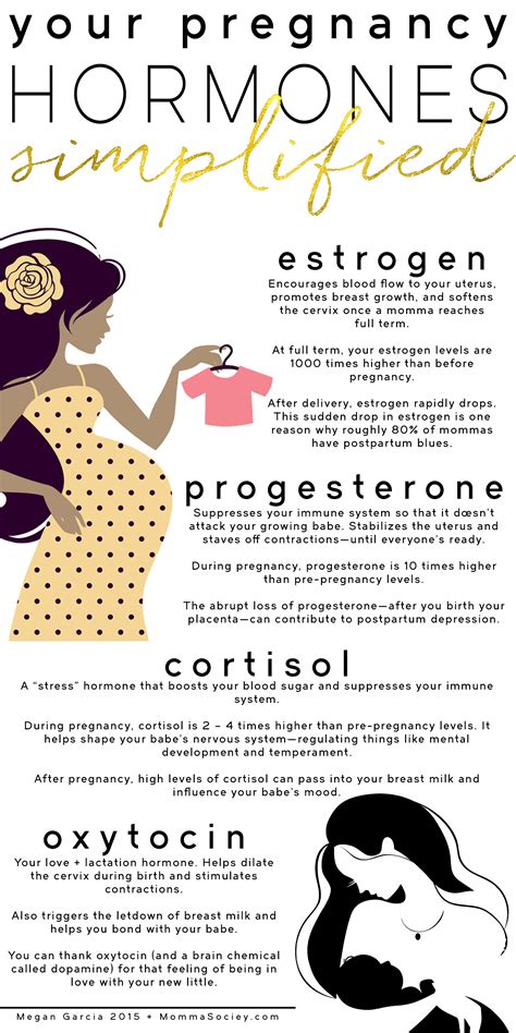 Hormone Levels During Pregnancy