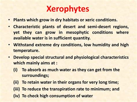 Learn What Are Xeric Plants And Why They Thrive In Dry Climates