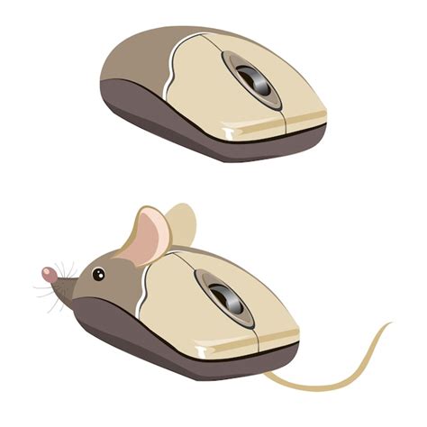 Image result for Mouse Conversion