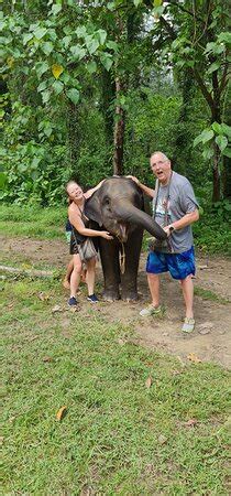 Khao Lak Elephant Home - 2022 What to Know Before You Go (with Photos ...