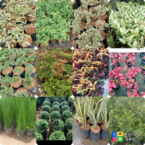 Rezultat imagine pentru How to Install Modular Kitchen