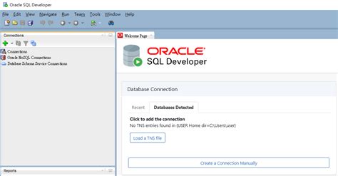 Image result for Change Language in Oracle SQL Developer