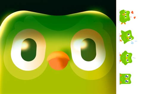 Image result for Duolingo Class Code