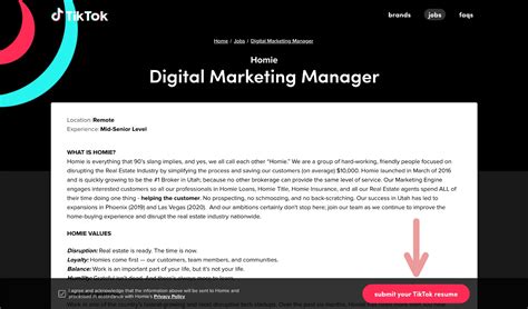 Bildergebnis für Tiktok resumes