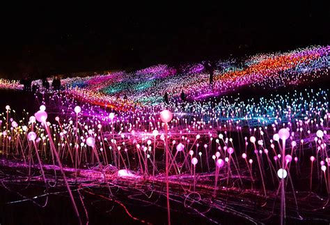 Light at Sensorio 2024-2025 in California - Rove.me