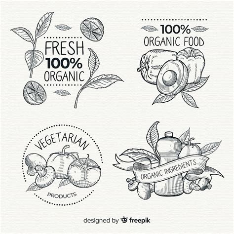 Images de Logo Fruits Vintage – Téléchargement gratuit sur Freepik