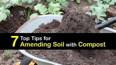 Compost/Soil 的图像结果