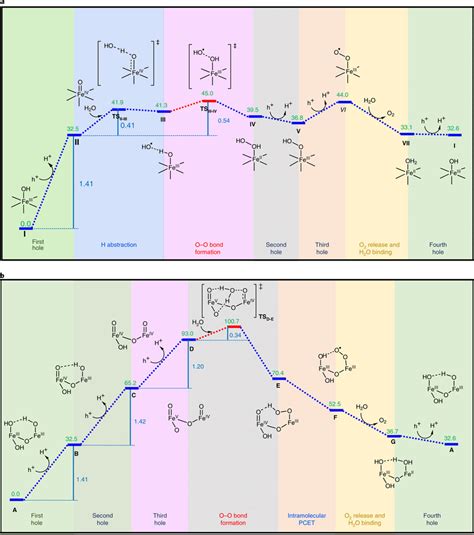 Image result for Oxidation-Reduction Reaction Explained Fe O2 FeO3